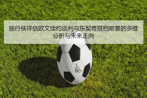 独行侠评估欧文续约谈判与东契奇搭档前景的多维分析与未来走向 | kaiyun